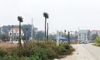 Chuyển mục đích sử dụng đất, giao đất (đợt 1) thực hiện dự án khu dân cư ở huyện Hiệp Hòa